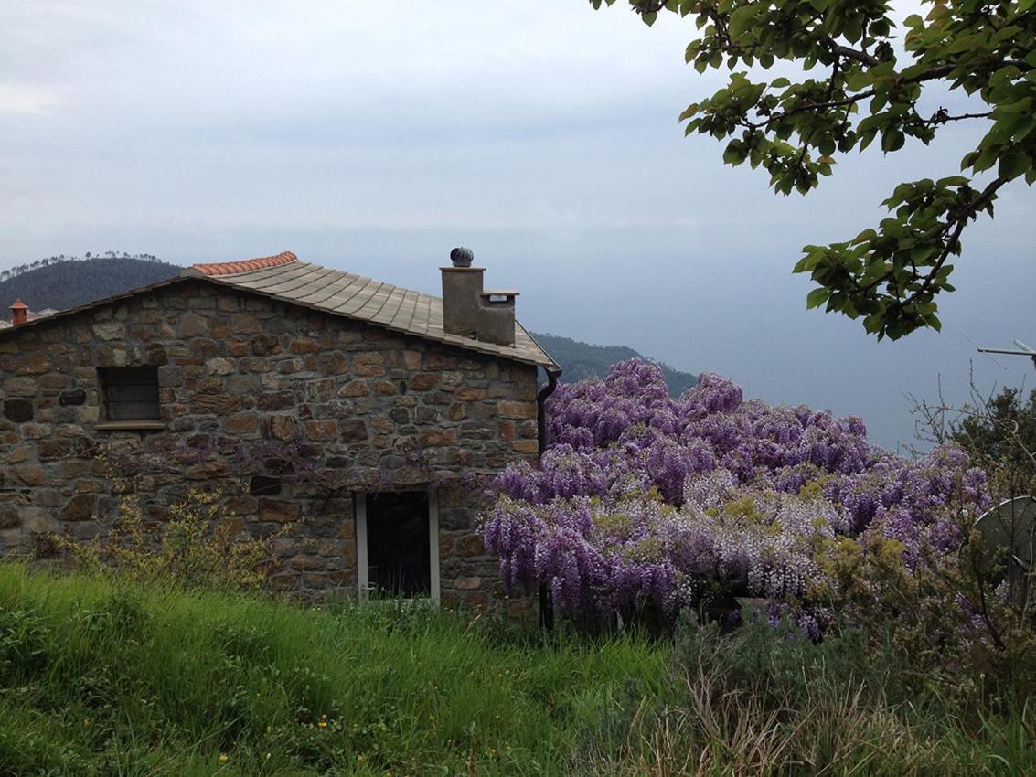 Cottage La Torre Del Pittore Bonassola Zewnętrze zdjęcie