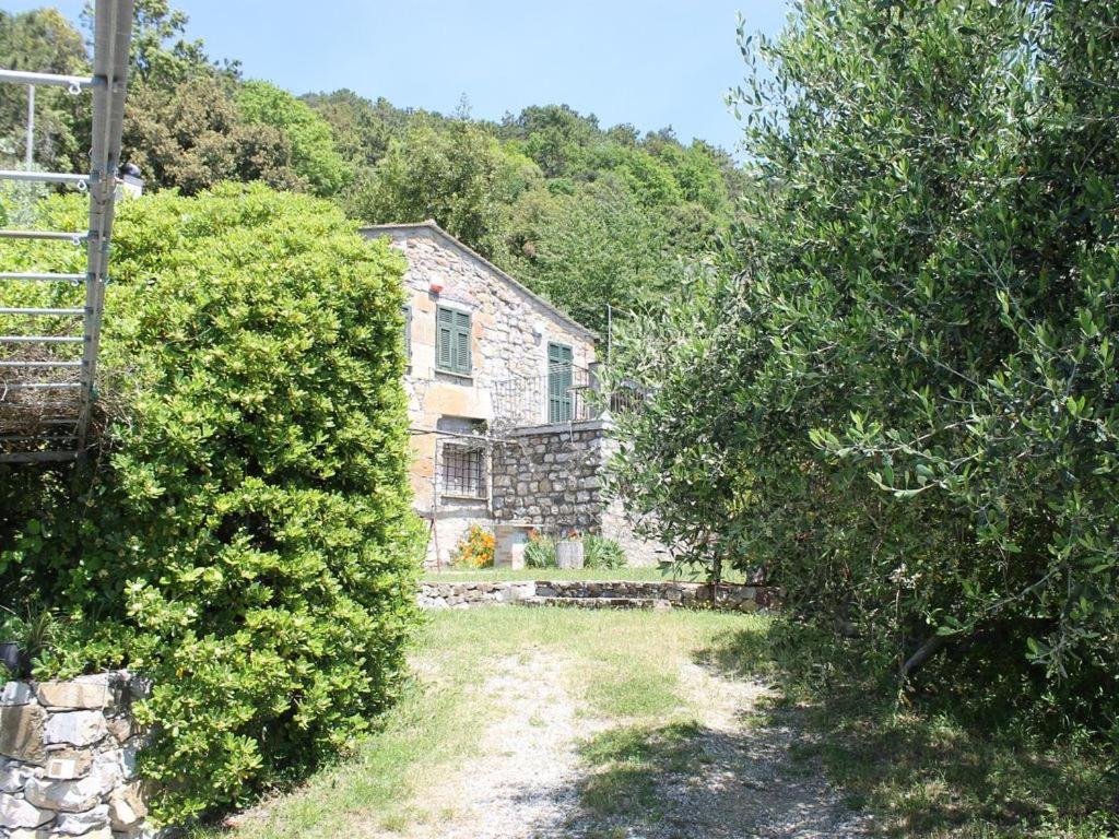 Cottage La Torre Del Pittore Bonassola Zewnętrze zdjęcie