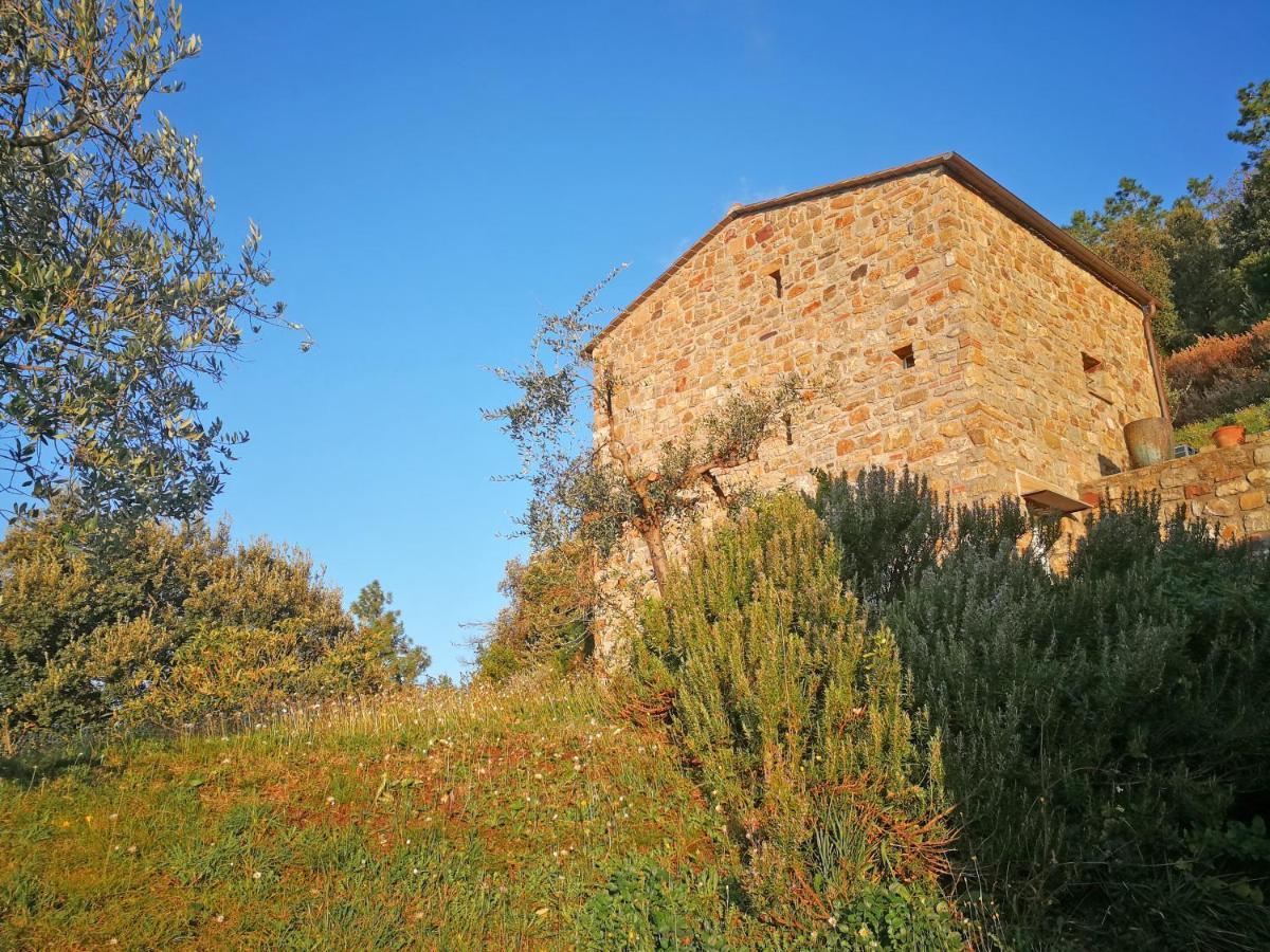 Cottage La Torre Del Pittore Bonassola Zewnętrze zdjęcie